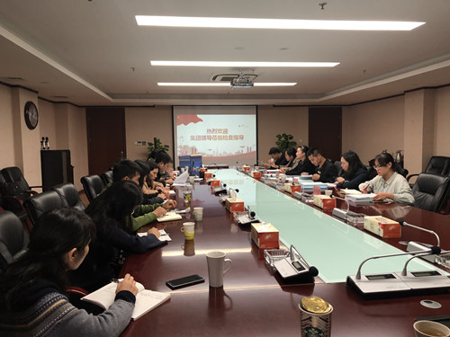 集團(tuán)檢查組到公司檢查“七五”普法工作