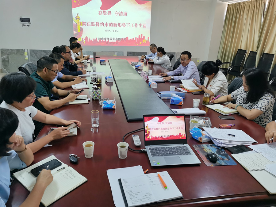 晏小標(biāo)為康澤公司黨員干部職工講黨課