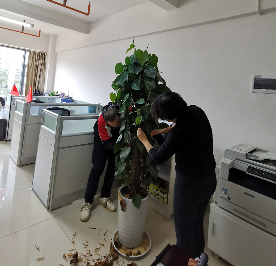 康澤公司組織開展愛國衛(wèi)生運(yùn)動暨規(guī)范化管理檢查