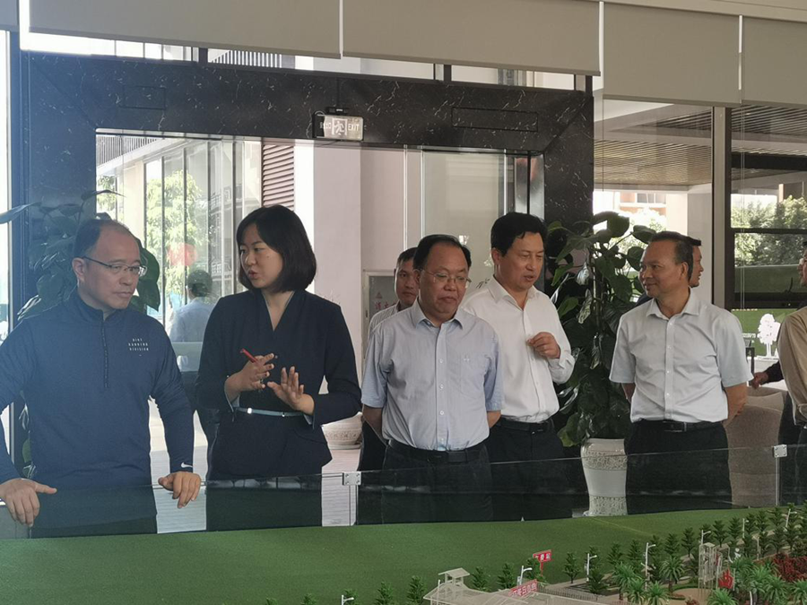 玉溪市市長張德華到元江·冬日戀曲項目考察調(diào)研