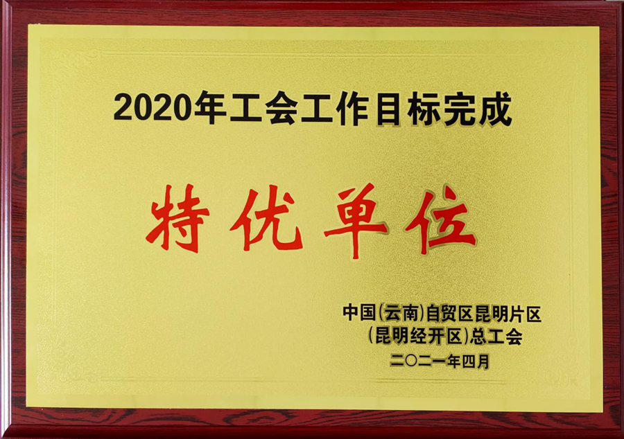 通泰公司工會榮獲2020年經開區(qū)總工會 工作目標完成“特優(yōu)單位”