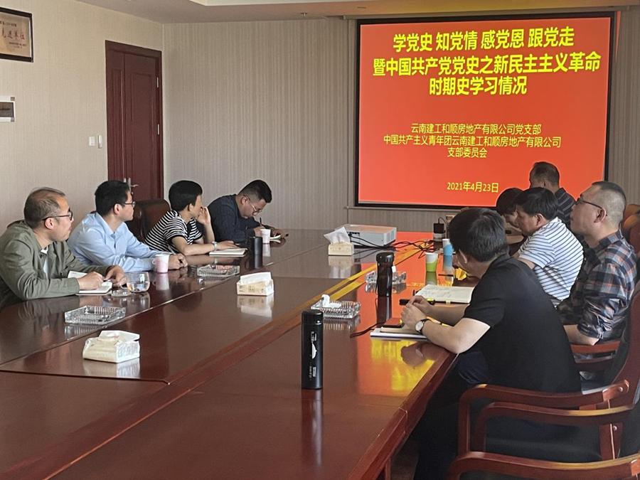 和順地產黨支部開展黨史學習教育活動