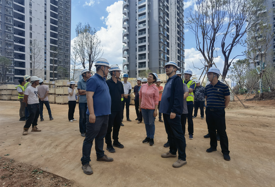 楊光雷到玉溪高鐵新城項(xiàng)目、元江果香四季項(xiàng)目調(diào)研