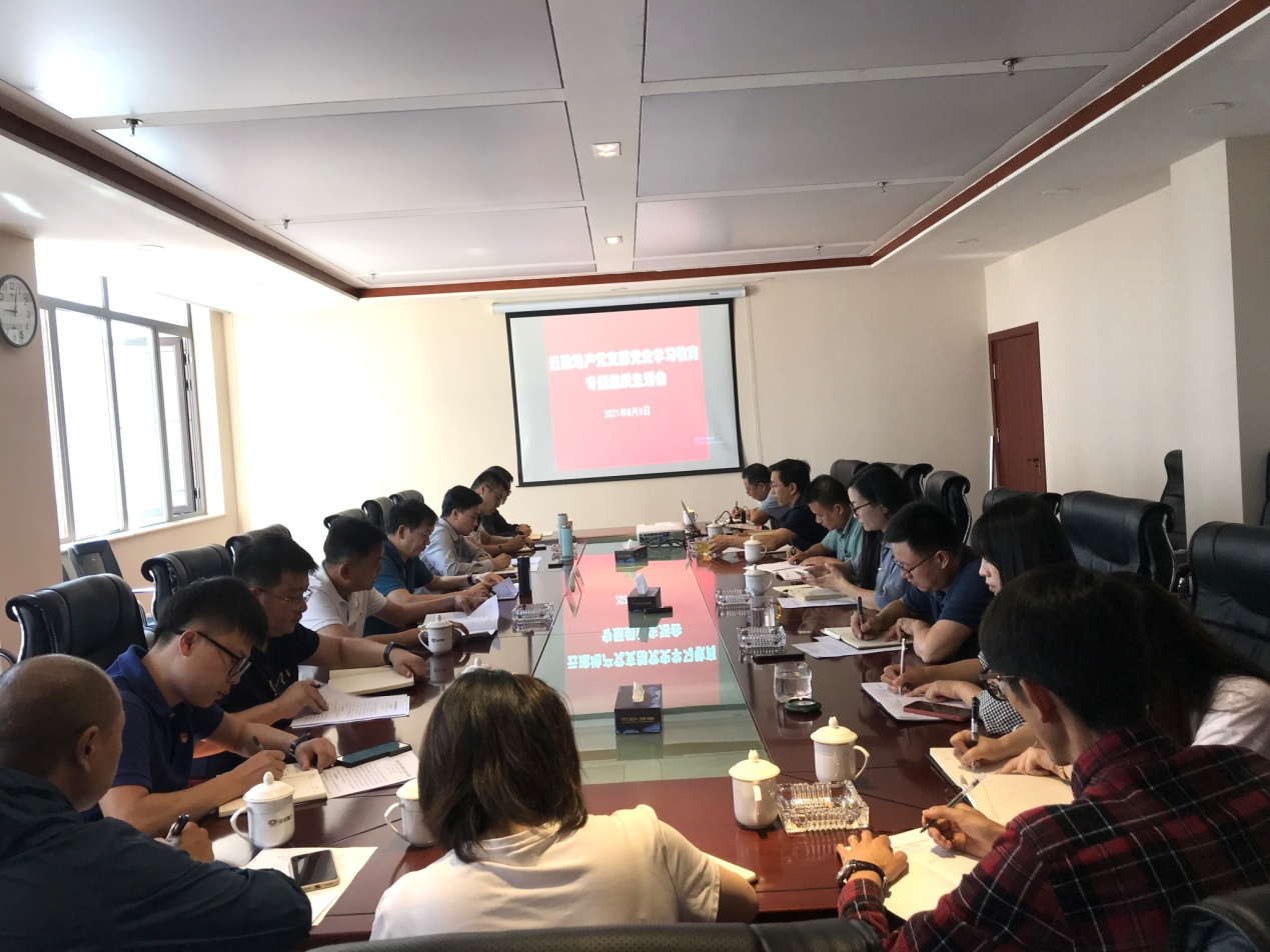 云建地產(chǎn)黨支部召開黨史學(xué)習(xí)教育專題組織生活會(huì)