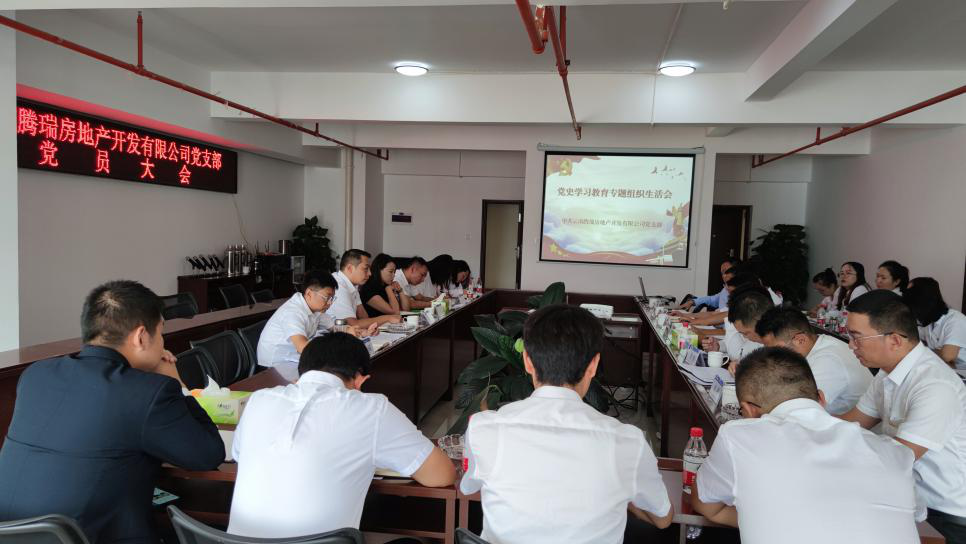 騰瑞公司黨支部召開(kāi)黨史學(xué)習(xí)教育專題組織生活會(huì)