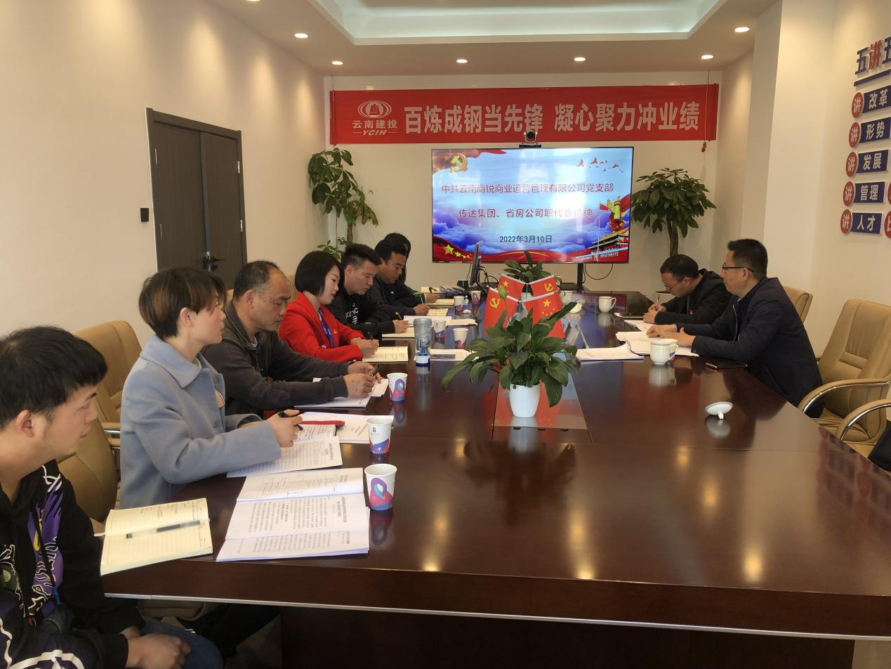 王紅國(guó)到商銳公司宣貫集團(tuán)及省房公司職代會(huì)精神