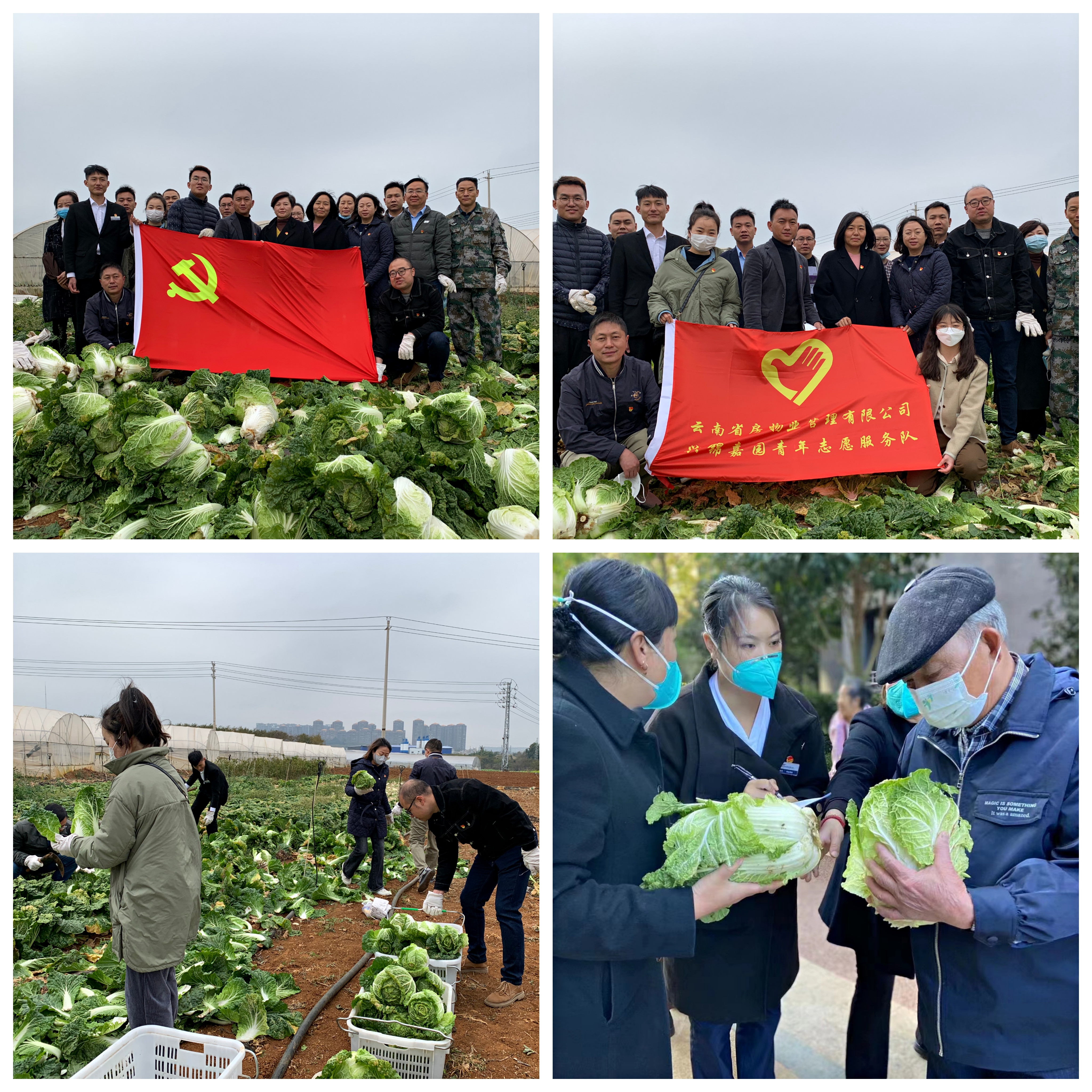 我為群眾辦實(shí)事 |“蔬”送溫暖