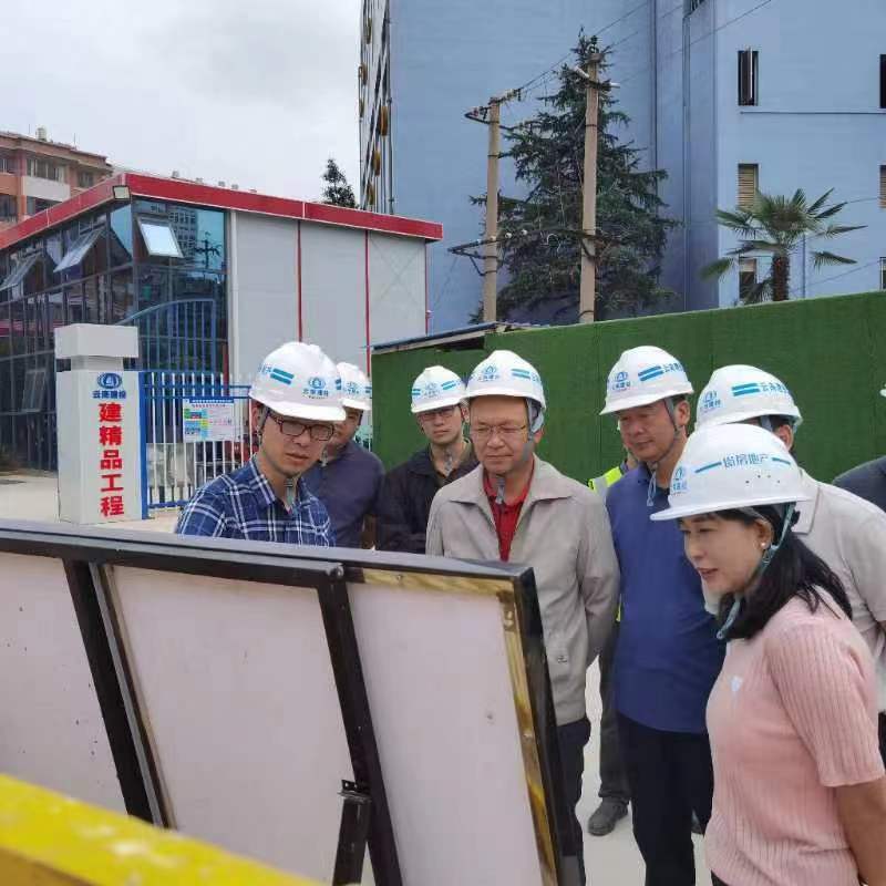 楊國文調研建投?春城華府項目