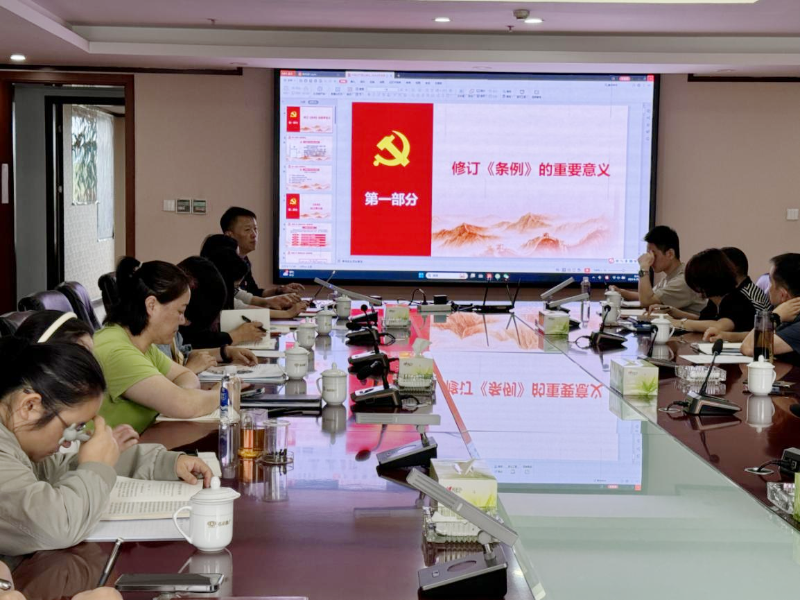 胡亞東講授黨紀學習專題黨課