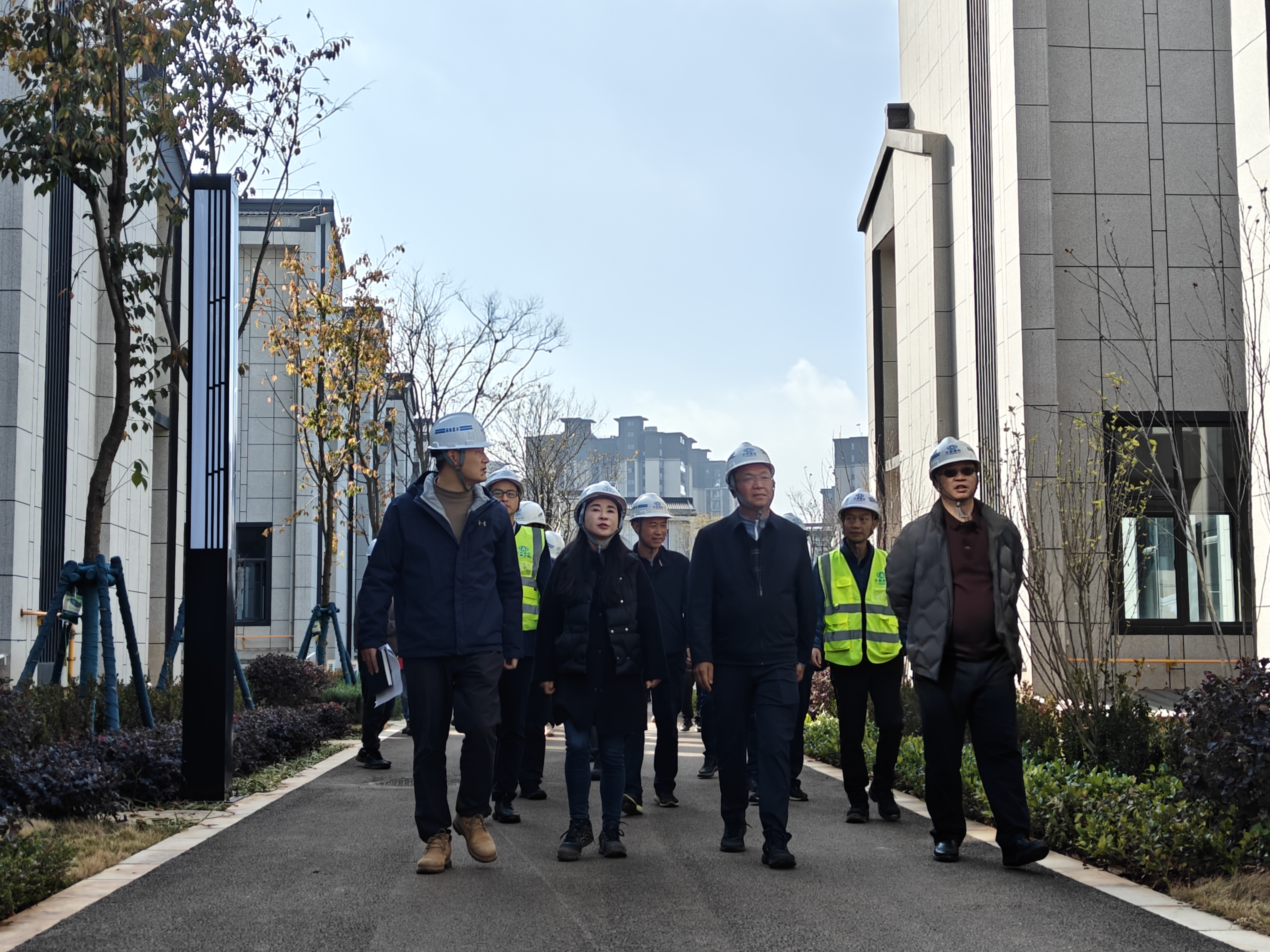 開(kāi)年即開(kāi)跑 開(kāi)局即沖刺 公司領(lǐng)導(dǎo)班子成員到基層項(xiàng)目慰問(wèn)檢查